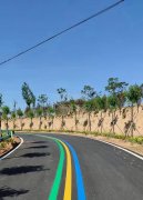 蘇州道路劃線反光漆多少錢一個(gè)平方？
